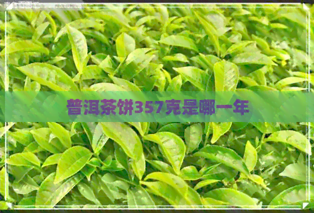 普洱茶饼357克是哪一年