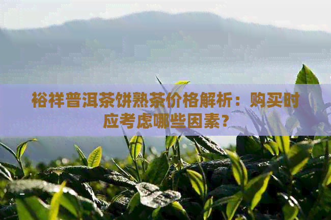 裕祥普洱茶饼熟茶价格解析：购买时应考虑哪些因素？