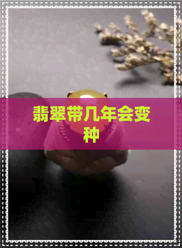 翡翠带几年会变种