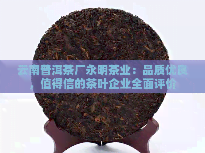 云南普洱茶厂永明茶业：品质优良，值得信的茶叶企业全面评价