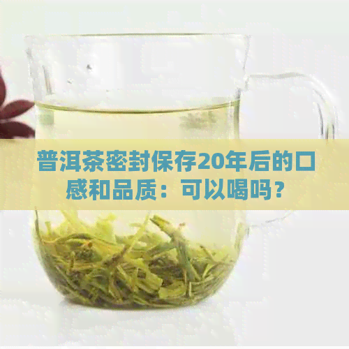 普洱茶密封保存20年后的口感和品质：可以喝吗？