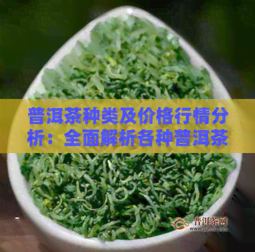 普洱茶种类及价格行情分析：全面解析各种普洱茶的类型和市场价格。