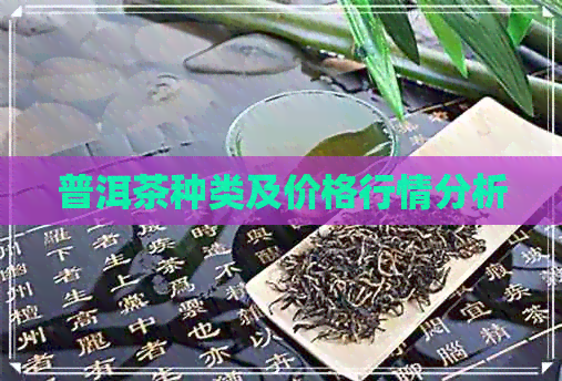 普洱茶种类及价格行情分析