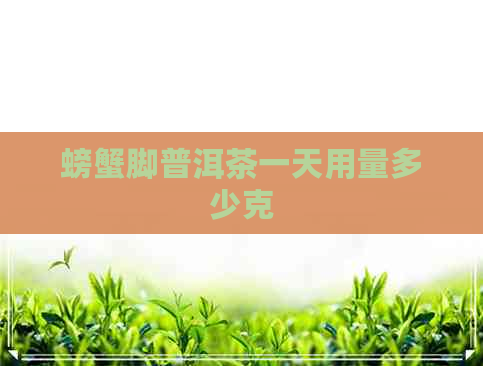 螃蟹脚普洱茶一天用量多少克