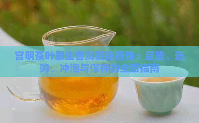 宫明茶叶原生普洱茶熟茶饼：品鉴、选购、冲泡与保存的全面指南