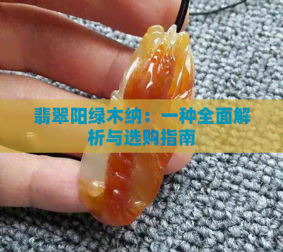 翡翠阳绿木纳：一种全面解析与选购指南