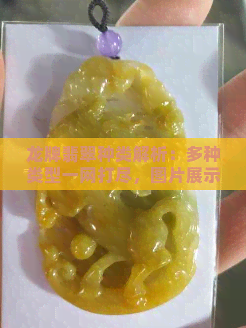 龙牌翡翠种类解析：多种类型一网打尽，图片展示与活动推荐