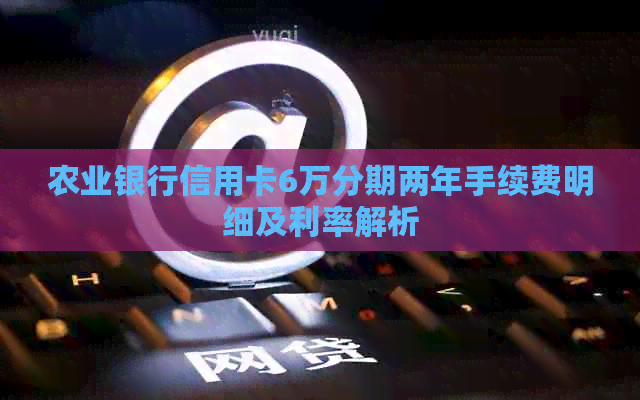 农业银行信用卡6万分期两年手续费明细及利率解析