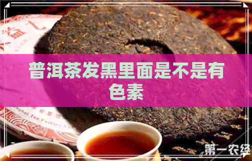 普洱茶发黑里面是不是有色素