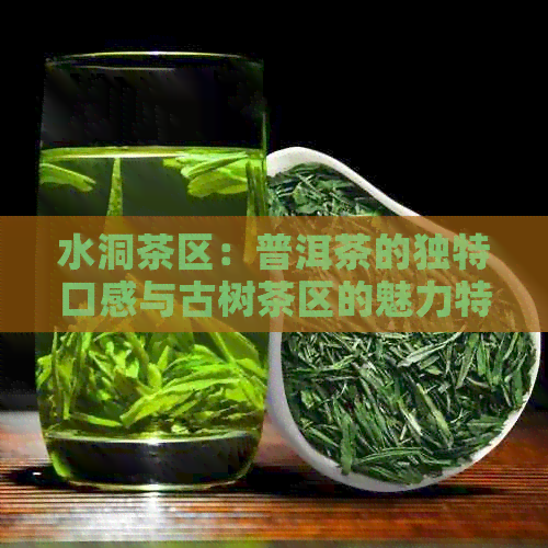 水洞茶区：普洱茶的独特口感与古树茶区的魅力特点