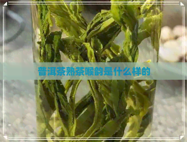 普洱茶熟茶喉韵是什么样的