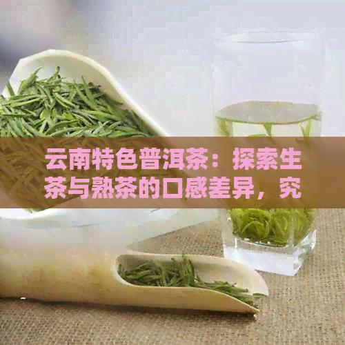 云南特色普洱茶：探索生茶与熟茶的口感差异，究竟哪个更美味？