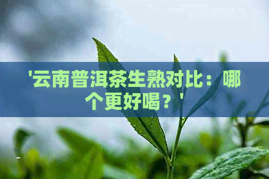 '云南普洱茶生熟对比：哪个更好喝？'