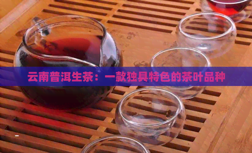 云南普洱生茶：一款独具特色的茶叶品种