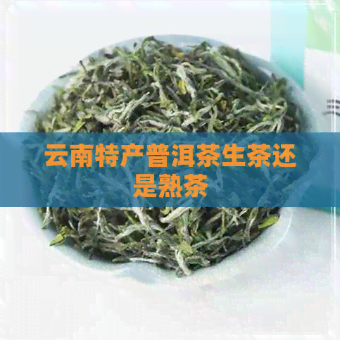 云南特产普洱茶生茶还是熟茶