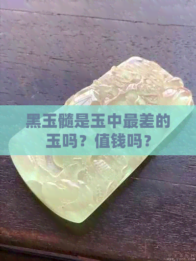 黑玉髓是玉中最差的玉吗？值钱吗？