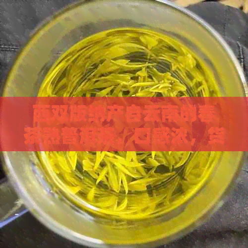 西双版纳产自云南的春茶熟普洱茶，口感浓，货源充足，批发优中