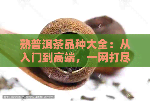 熟普洱茶品种大全：从入门到高端，一网打尽各类熟普洱茶！  第1张