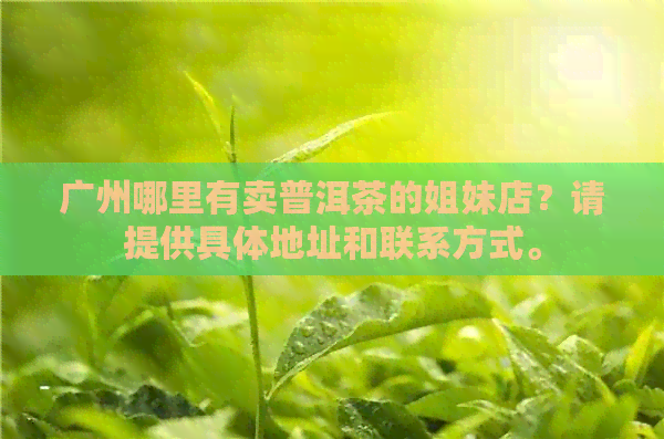 广州哪里有卖普洱茶的姐妹店？请提供具体地址和联系方式。