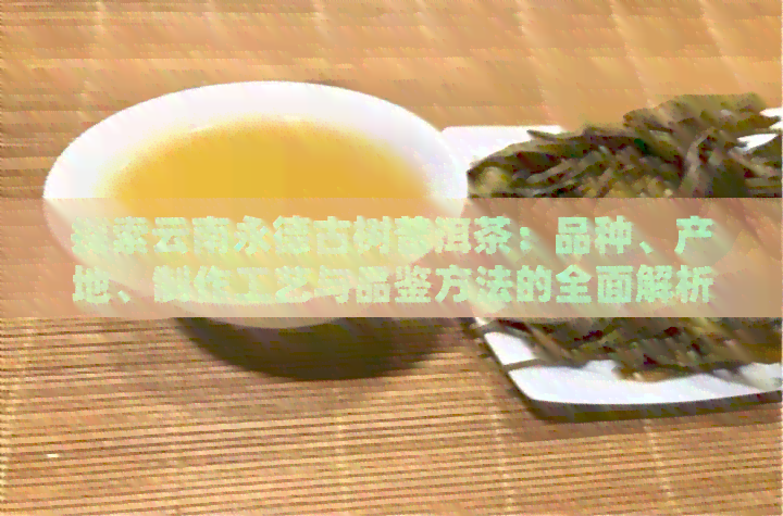 探索云南永德古树普洱茶：品种、产地、制作工艺与品鉴方法的全面解析