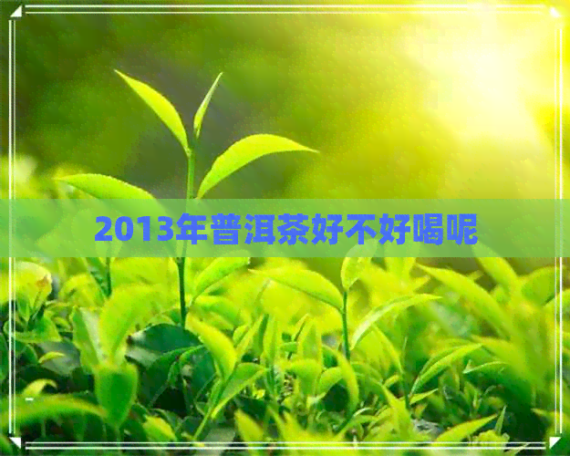 2013年普洱茶好不好喝呢