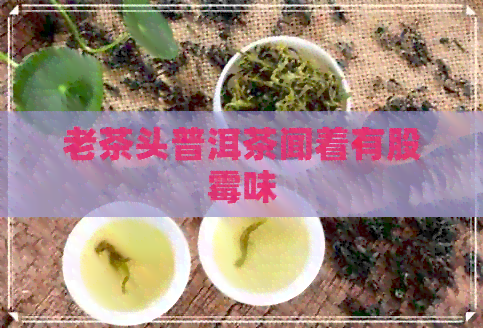 老茶头普洱茶闻着有股霉味