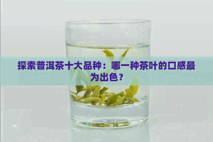 探索普洱茶十大品种：哪一种茶叶的口感最为出色？