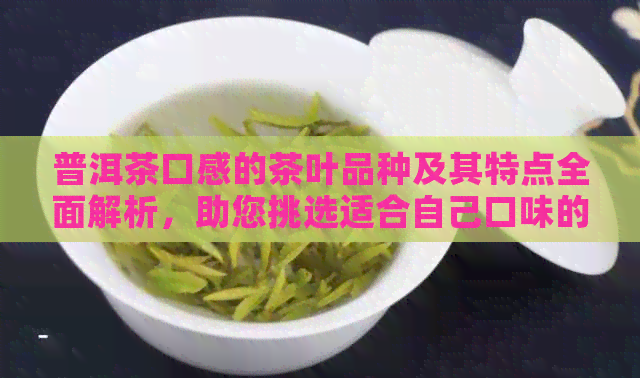 普洱茶口感的茶叶品种及其特点全面解析，助您挑选适合自己口味的普洱茶