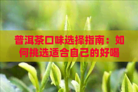 普洱茶口味选择指南：如何挑选适合自己的好喝普洱茶？