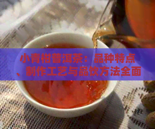 小青柑普洱茶：品种特点、制作工艺与品饮方法全面解析，助您轻松挑选和品尝