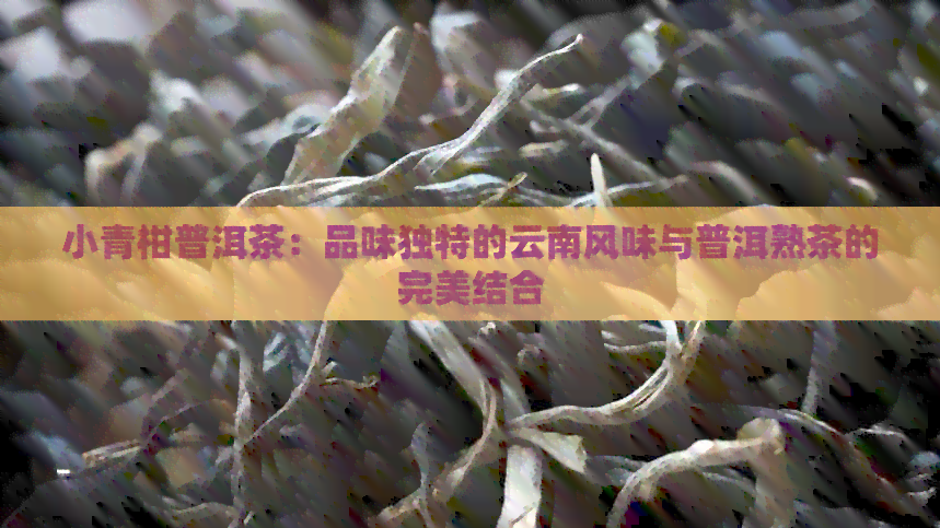 小青柑普洱茶：品味独特的云南风味与普洱熟茶的完美结合