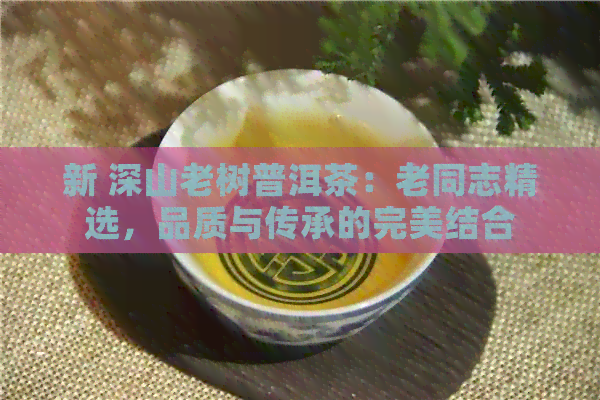 新 深山老树普洱茶：老同志精选，品质与传承的完美结合