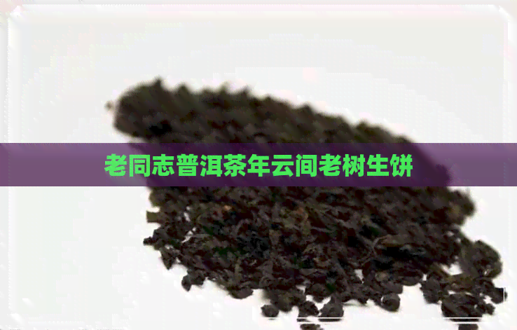 老同志普洱茶年云间老树生饼