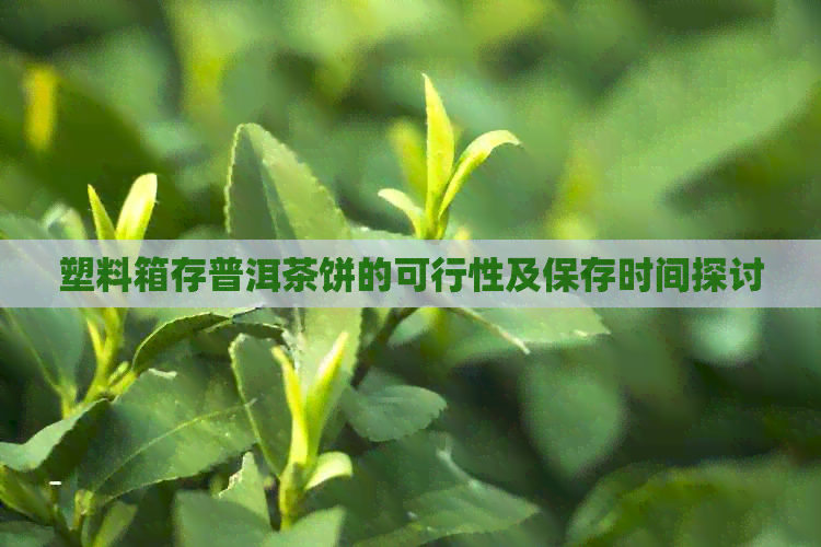 塑料箱存普洱茶饼的可行性及保存时间探讨