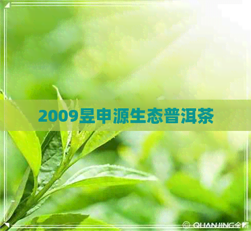 2009昱申源生态普洱茶