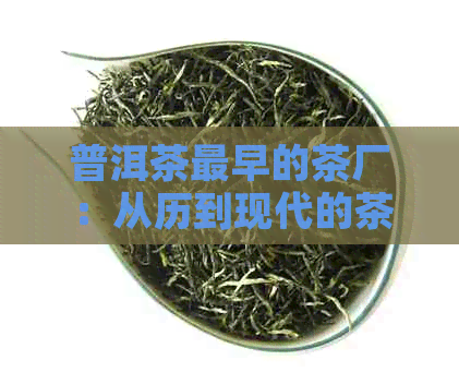 普洱茶最早的茶厂：从历到现代的茶产业全景解析