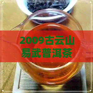 2009古云山易武普洱茶