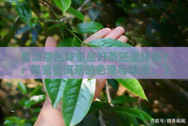 普洱茶色味重是好茶还是坏茶？：探究普洱茶的色泽与味道，了解其品质。