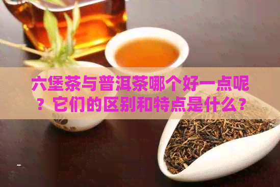 六堡茶与普洱茶哪个好一点呢？它们的区别和特点是什么？