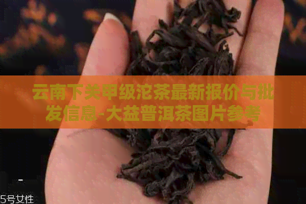 云南下关甲级沱茶最新报价与批发信息-大益普洱茶图片参考