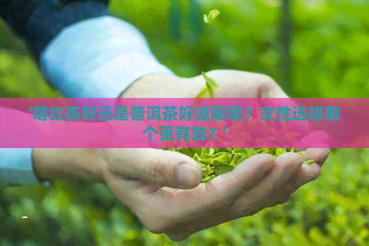 '喝红茶好还是普洱茶好减肥呢？女性选择哪个更有效？'