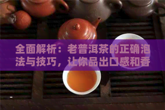 全面解析：老普洱茶的正确泡法与技巧，让你品出口感和香气