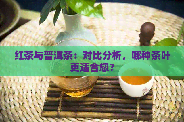 红茶与普洱茶：对比分析，哪种茶叶更适合您？