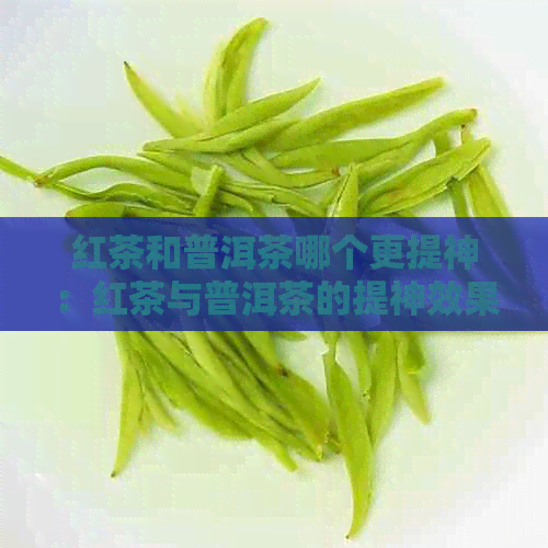 红茶和普洱茶哪个更提神：红茶与普洱茶的提神效果对比