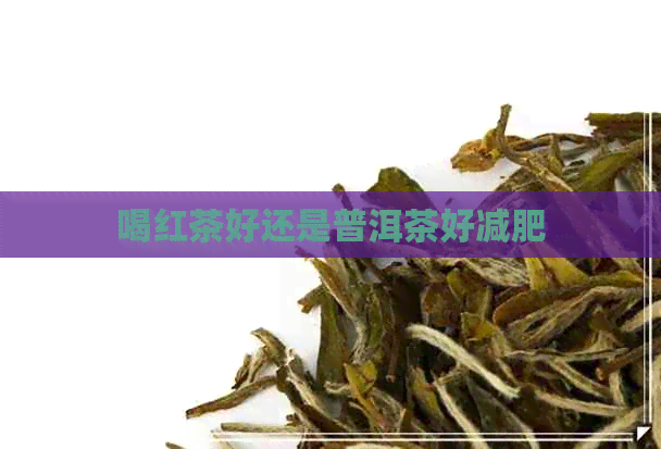 喝红茶好还是普洱茶好减肥