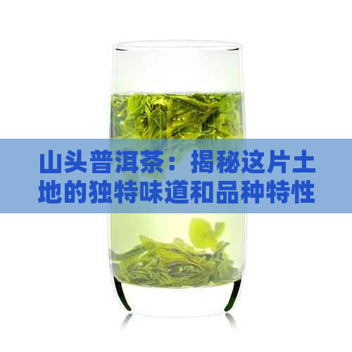 山头普洱茶：揭秘这片土地的独特味道和品种特性