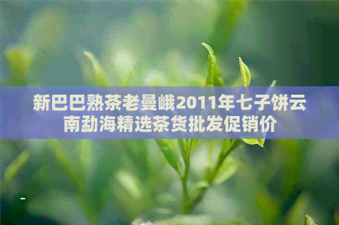 新巴巴熟茶老曼峨2011年七子饼云南勐海精选茶货批发促销价