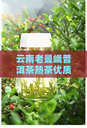 云南老曼峨普洱茶熟茶优质供应商价格与促销活动解析