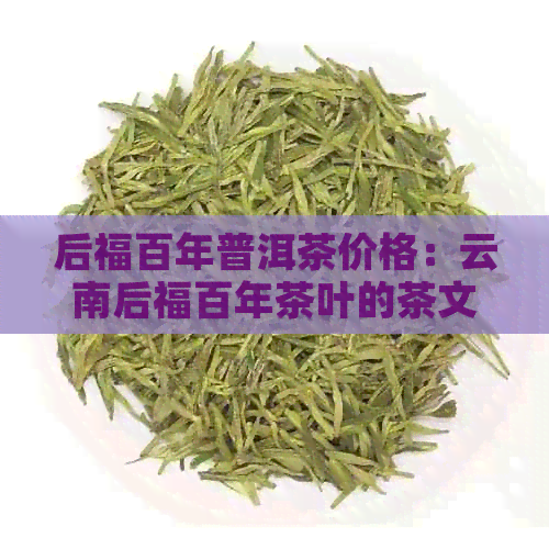 后福百年普洱茶价格：云南后福百年茶叶的茶文化与酱酒产品