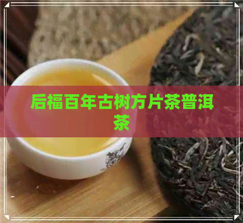 后福百年古树方片茶普洱茶